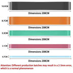 Resistance Band Set with 11 Levels Pull Up Assistance & Heavy Duty Workout Bands